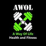AWOL Buggy Bootcamp logo