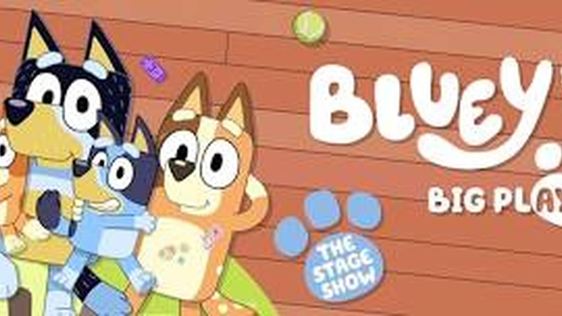 Bluey's Big Play photo
