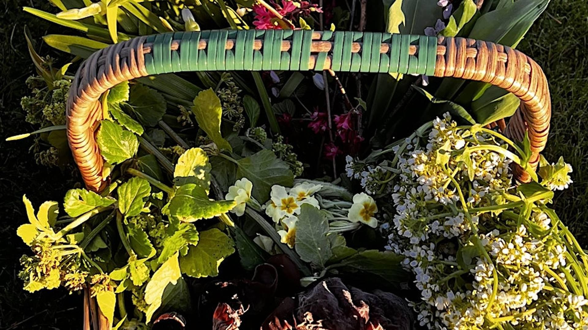 May Day Forage, Fermentation & Feast Workshop photo