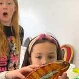 Activity image