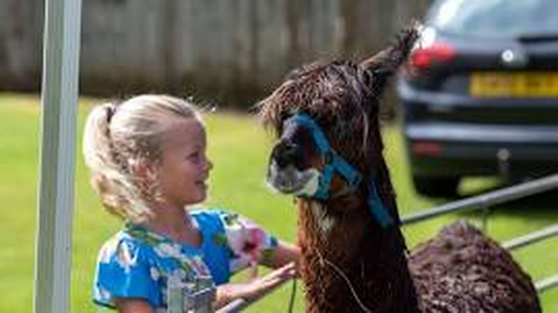 All Creatures Great and Small photo