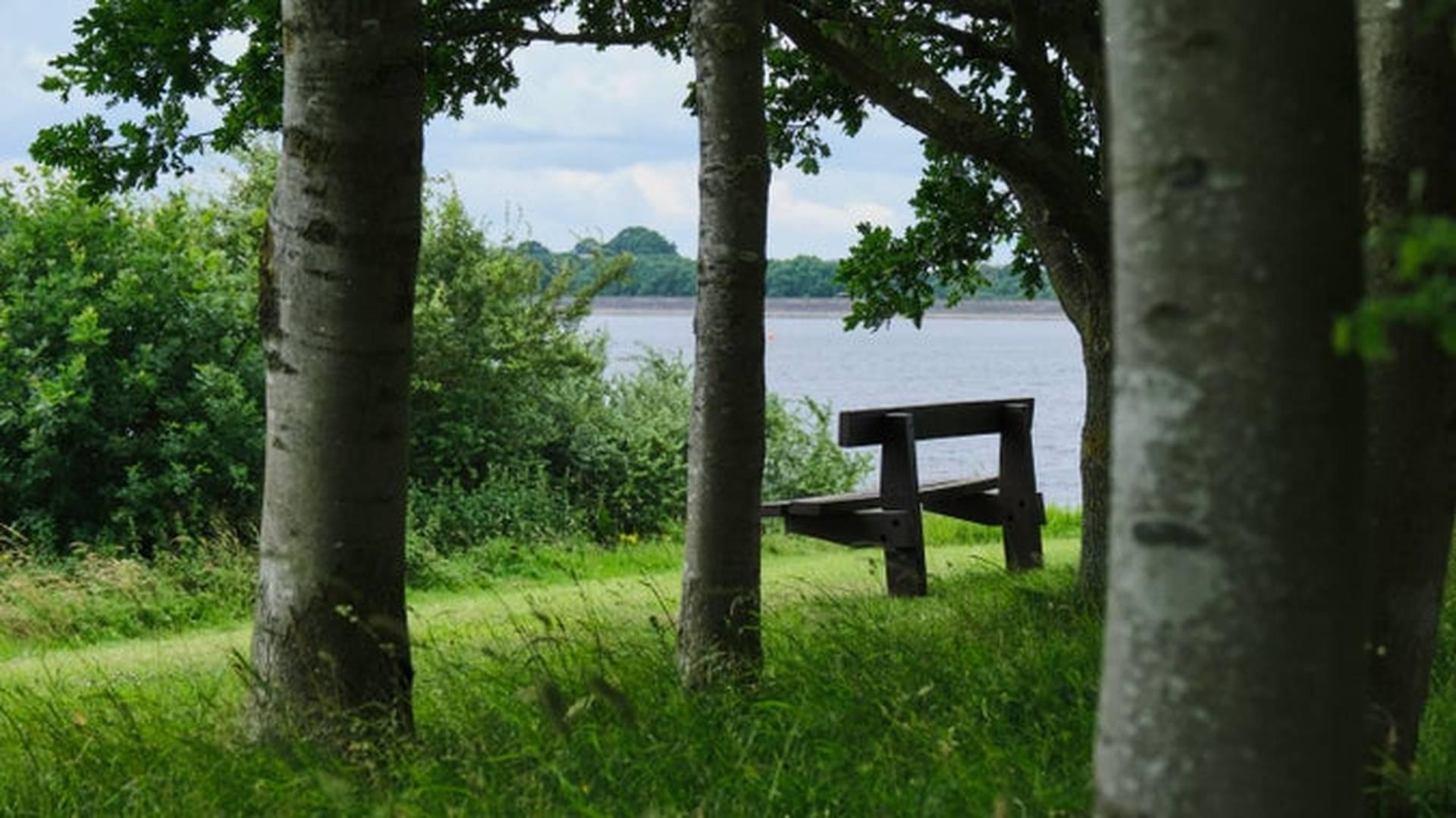 October Half Term: Spooky Riddle Trail At Foremark photo