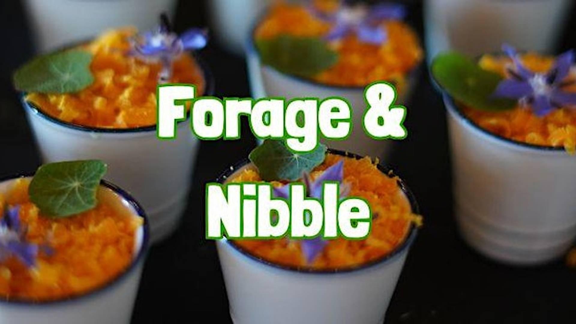 FORAGE & NIBBLE in The Wirral (Cheshire) photo