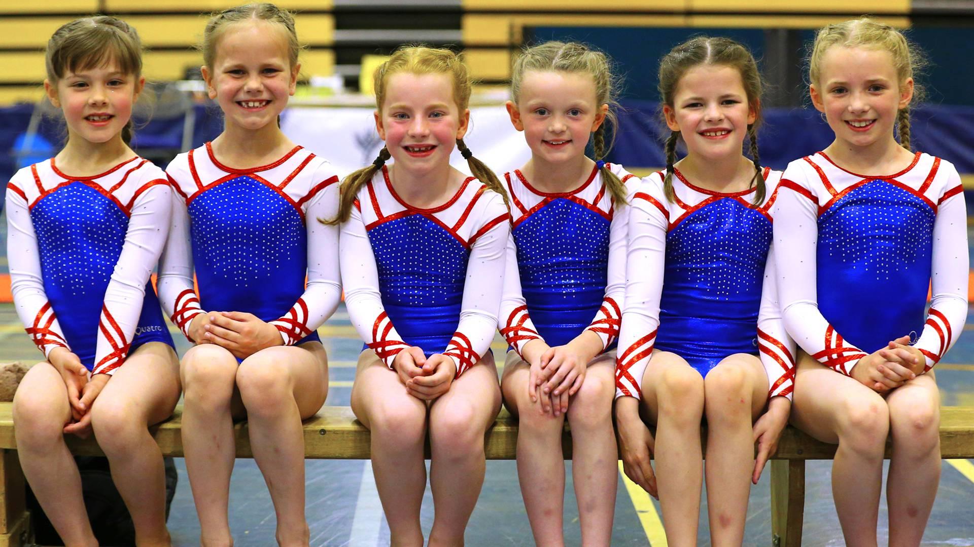 Flair Gymnastics Club photo