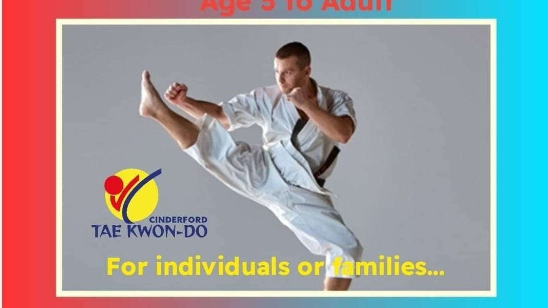 Cinderford Tae Kwon-Do photo