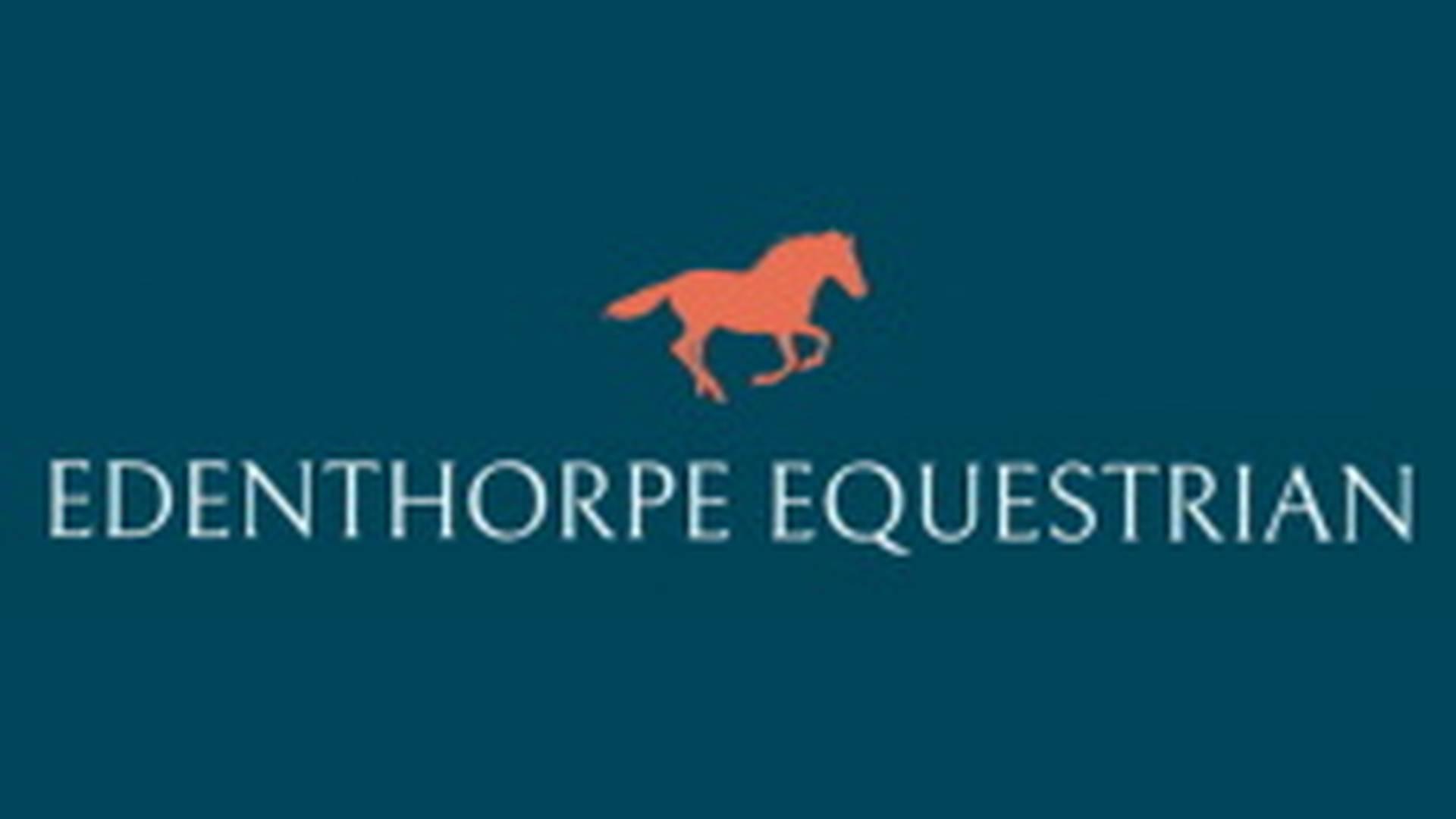 In Hand Ridden And Working Hunter And Affiliated Shetland Classes Show At Edenthorpe Equestrian photo