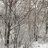 Activity image