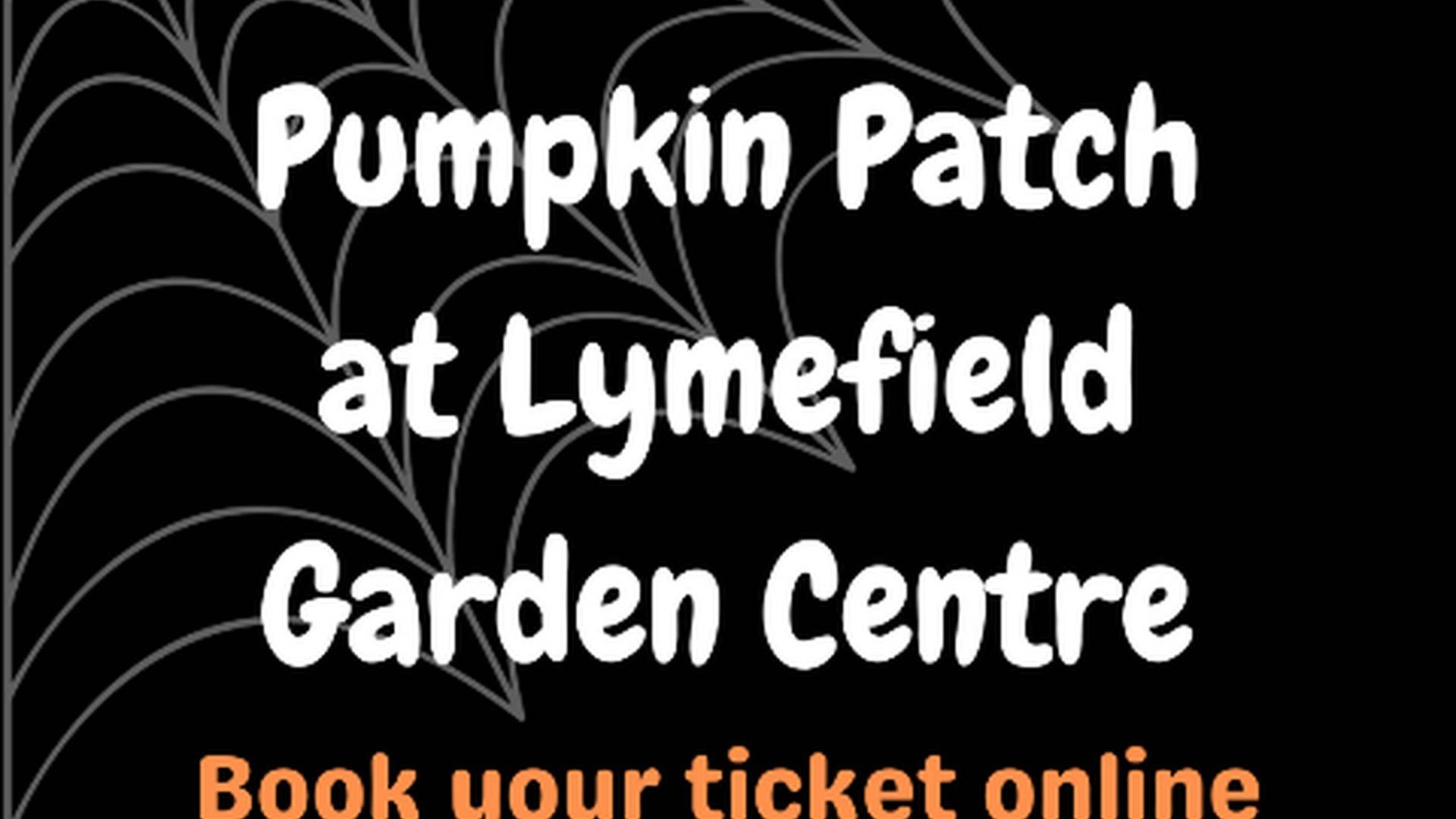 Pumpkin Patch at Lymefield photo