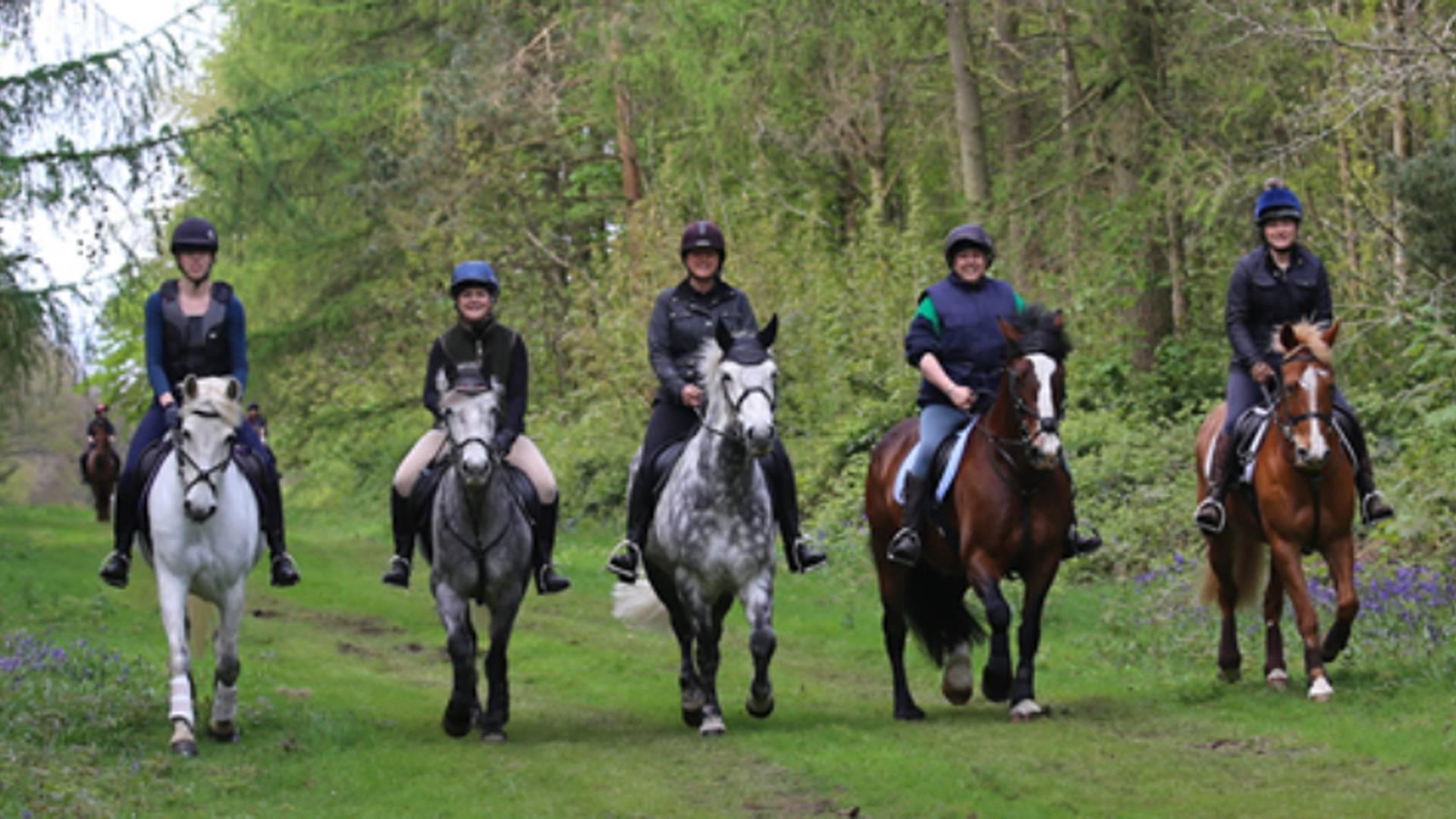 Sinnington Pleasure Ride photo