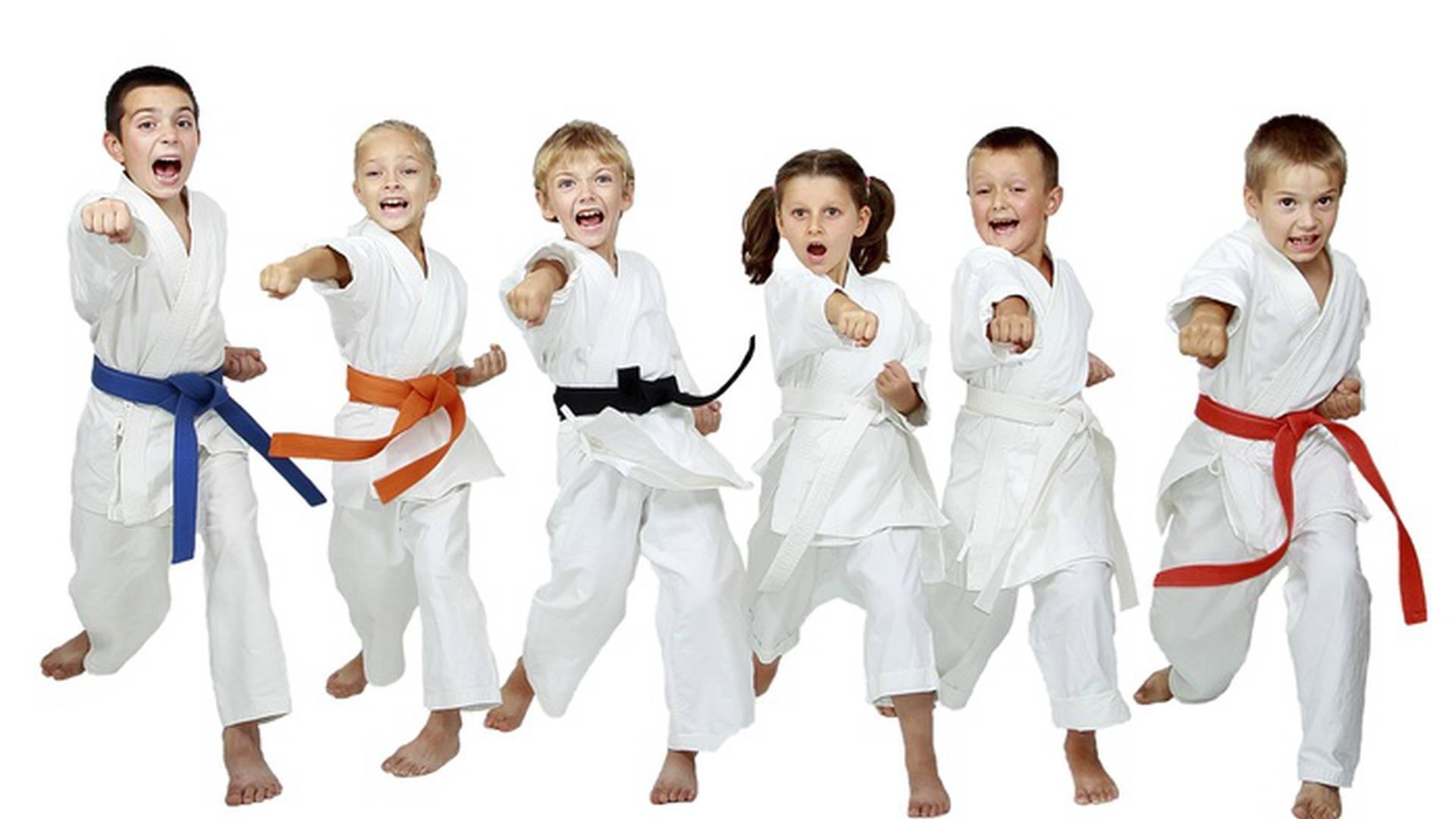Canterbury karate photo