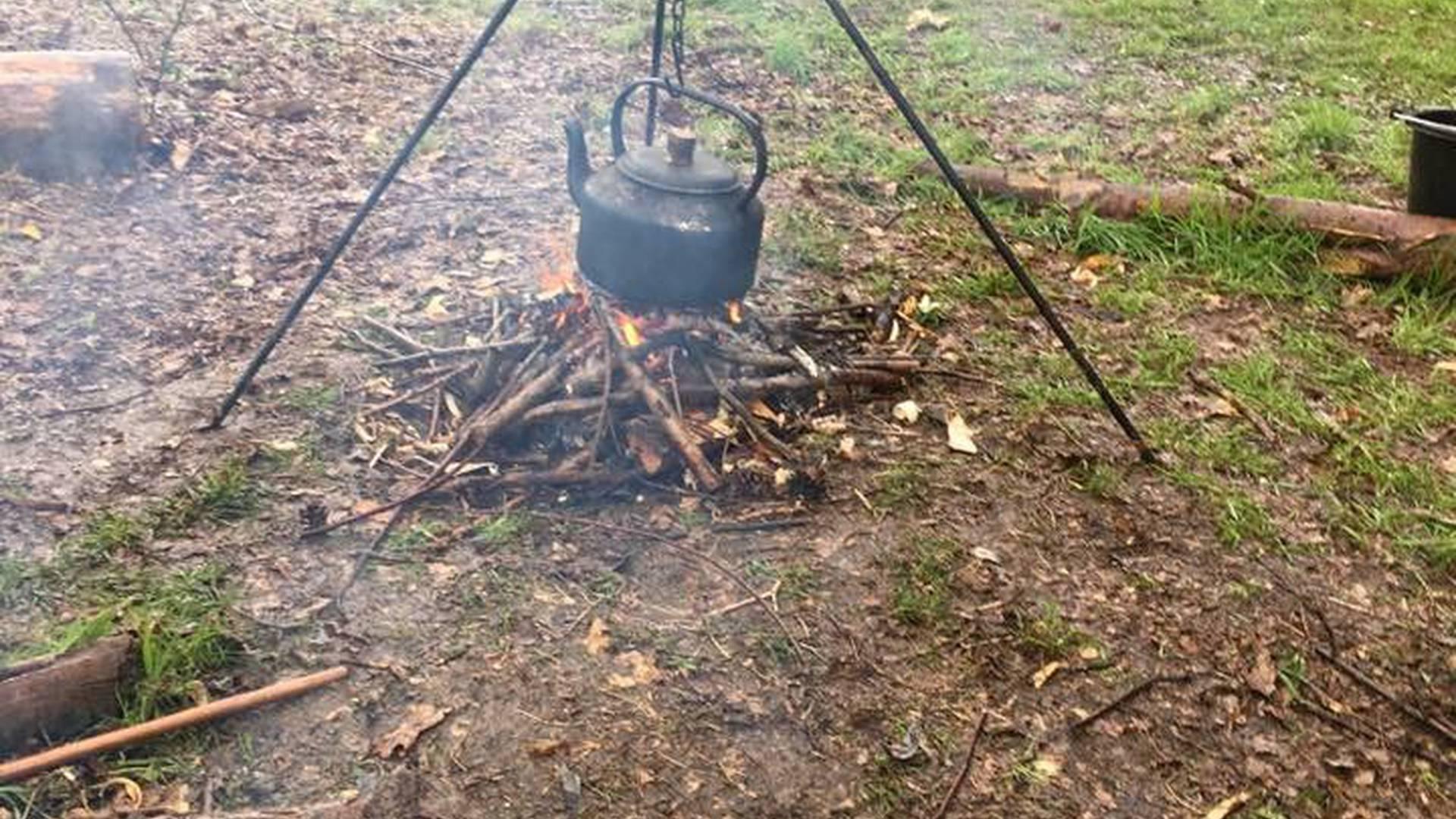 Herstmonceux Castle Forest School photo