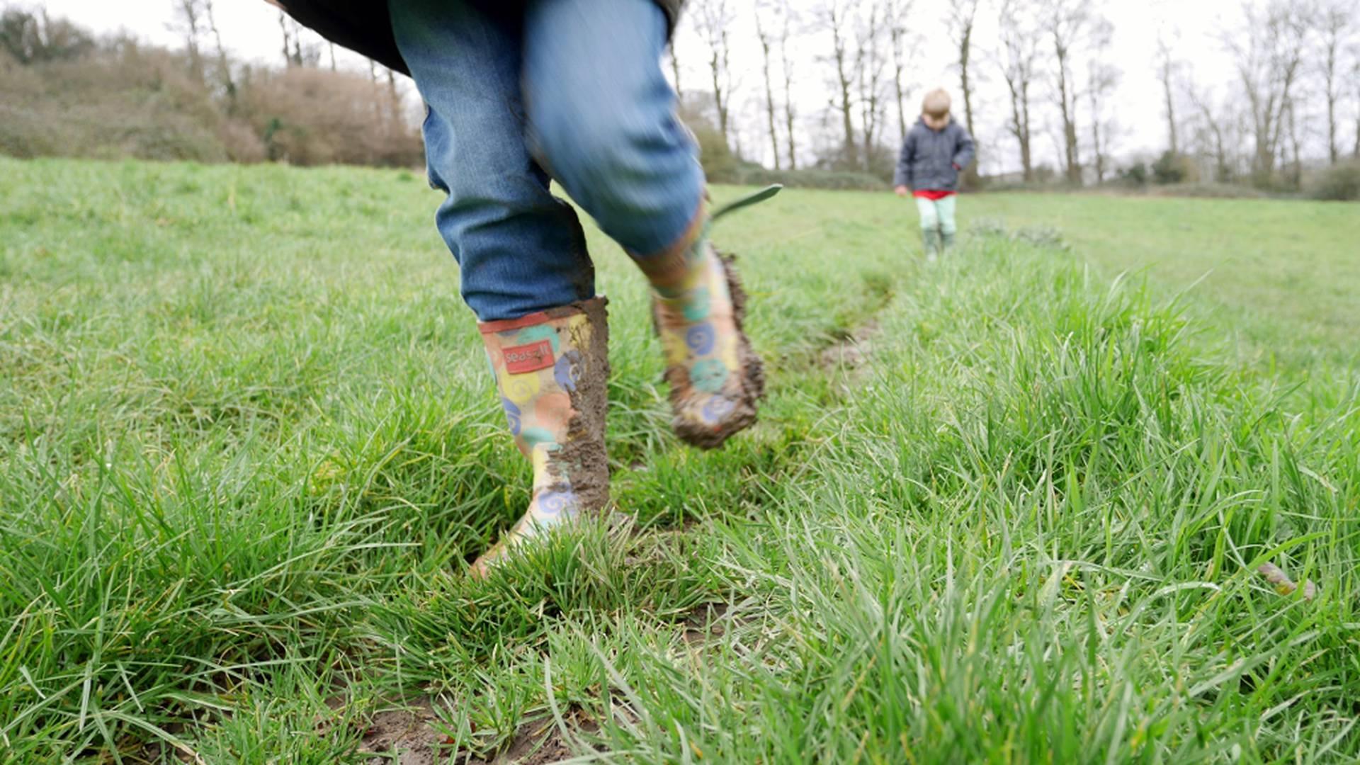 Bath City Farm photo