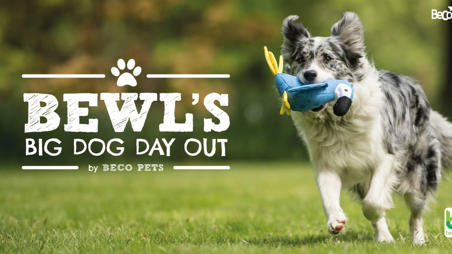 Bewls Big Dog Day Out photo