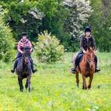 Activity image
