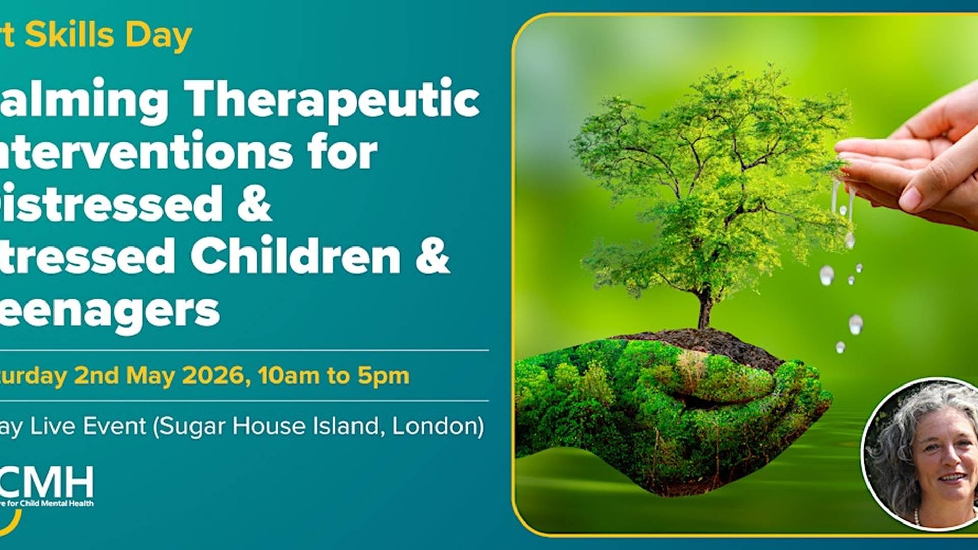 Calming Therapeutic Interventions for Distressed & Stressed Children photo