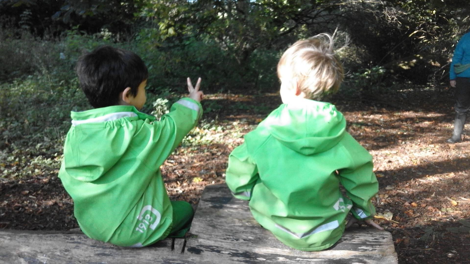 Greenbank Woodland Play and Greenbank StaynPlay photo