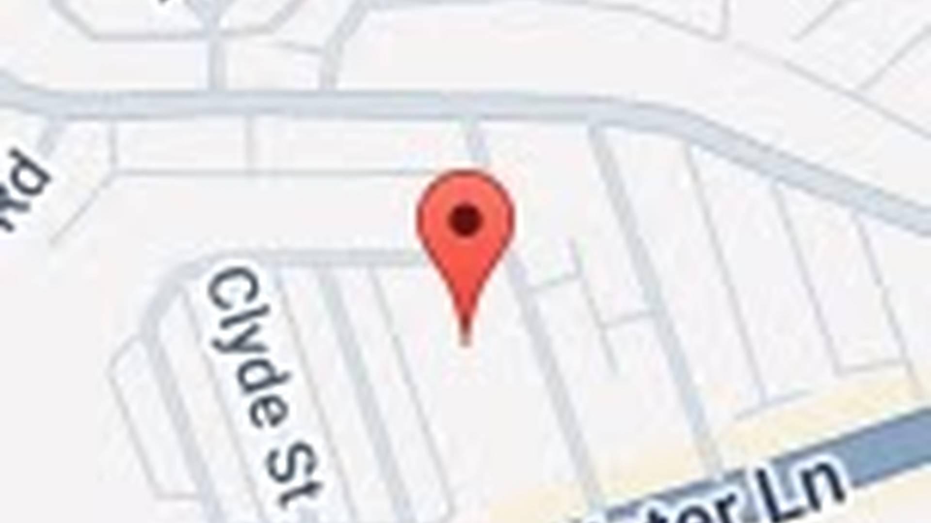 Little Sparkles photo