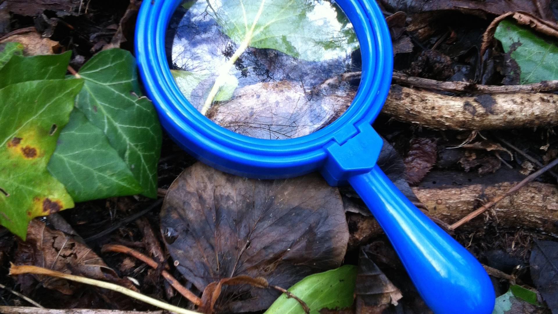 Nature Links CIC photo