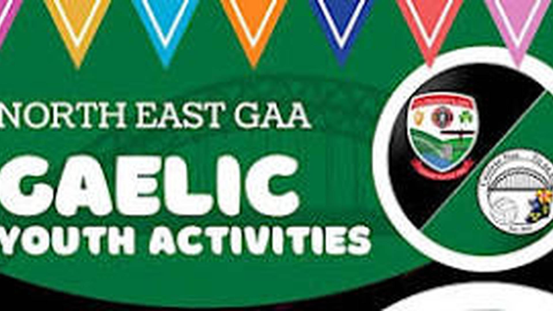 North East GAA - Gaelic Youth Activities (Session 2) photo