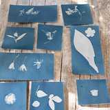 Activity image