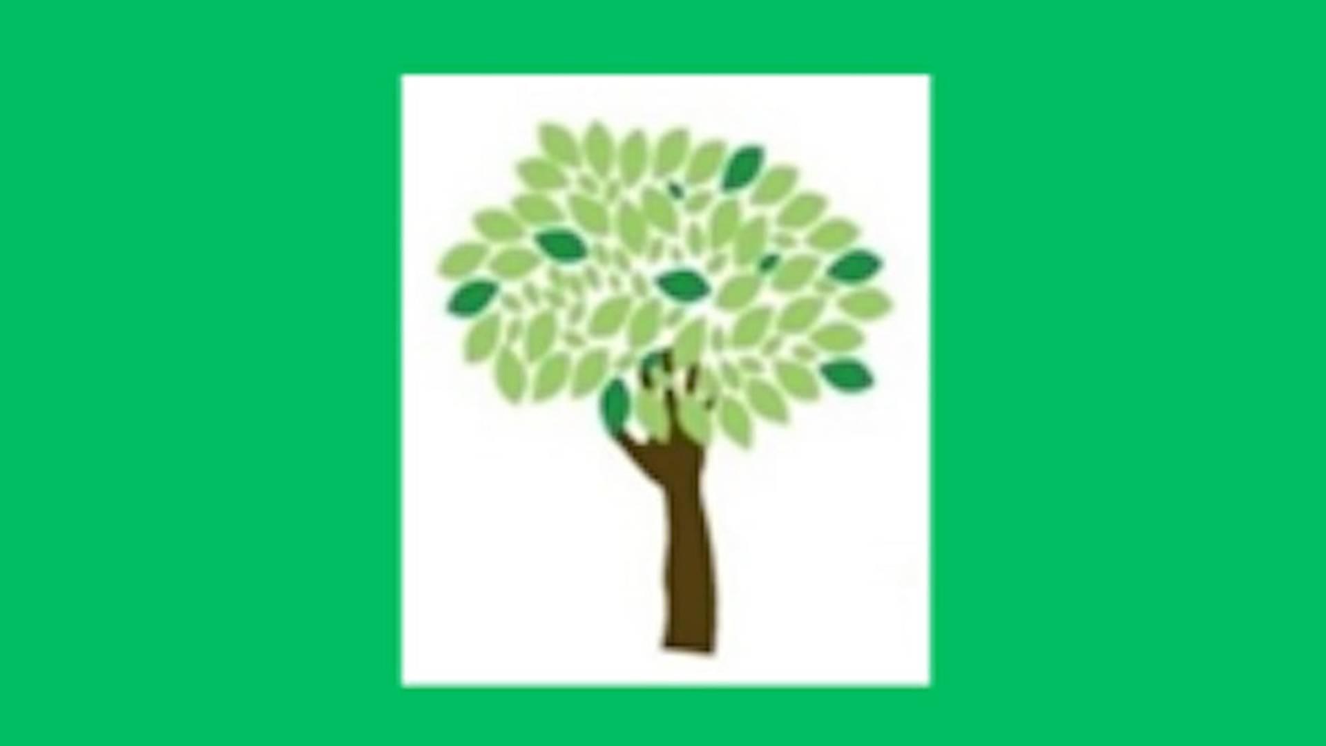 Supporting the Education of Children in Care photo