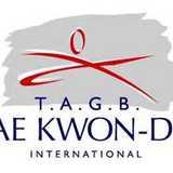 North London Schools of Taekwondo logo
