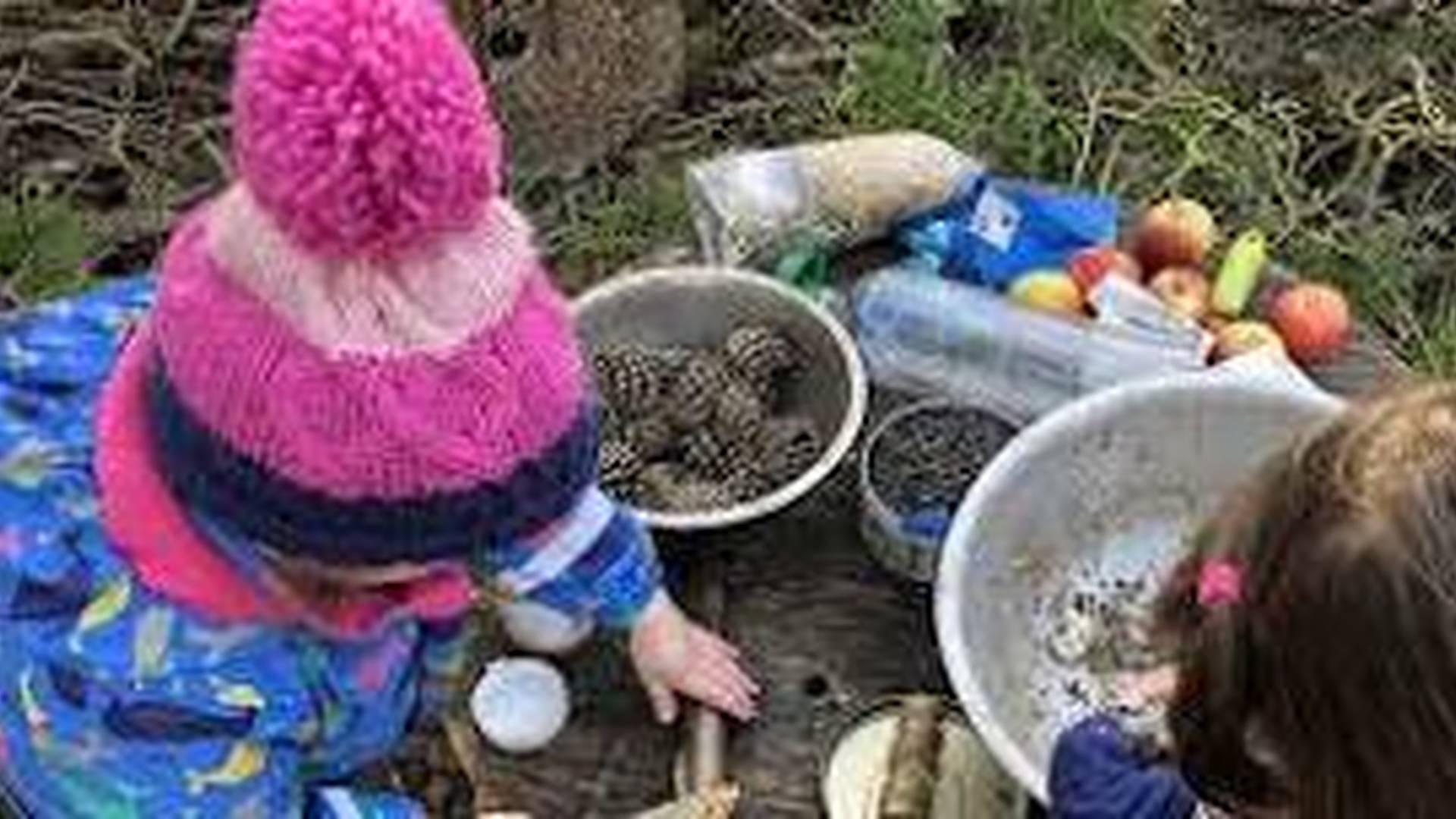 Grange Farm Nature Tots (Tuesday) photo