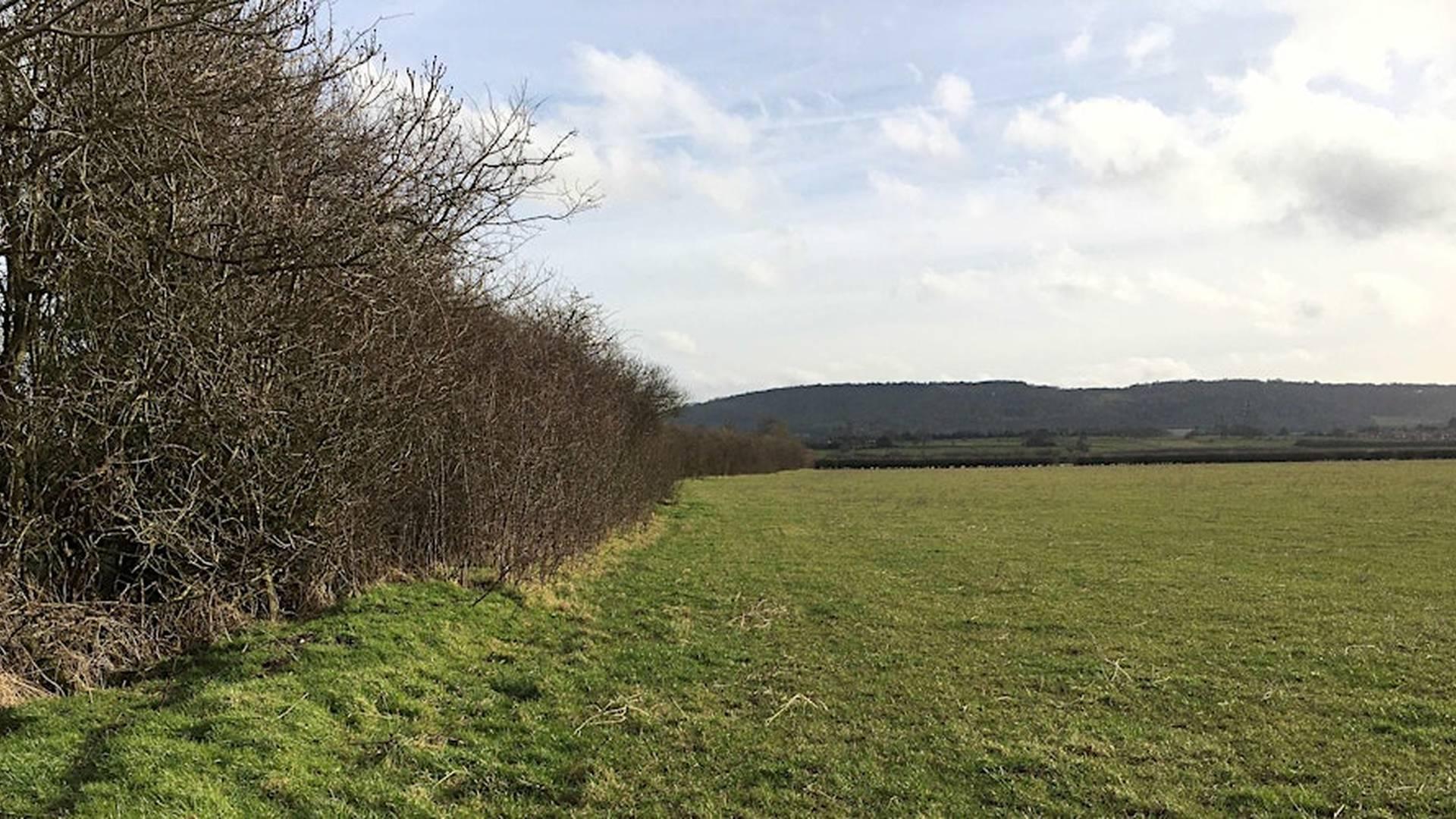 Winter Farm Walk - Theme: Watercourses and The Chilterns photo