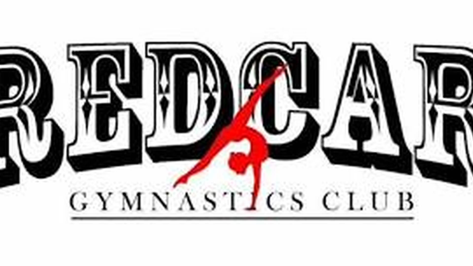Redcar Gymnastics Charity Race Night photo