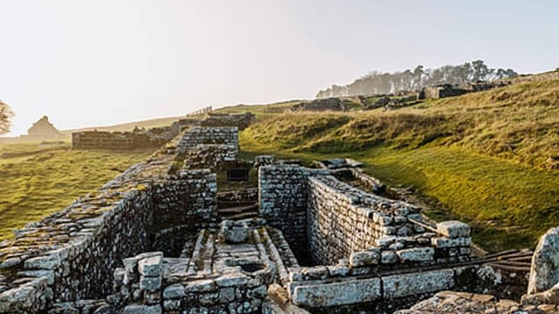 Members' Event: photo