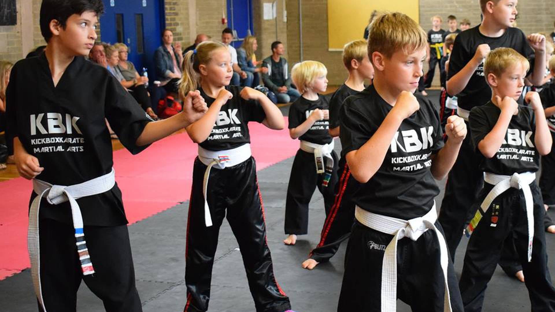 Kickboxkarate Martial Arts photo