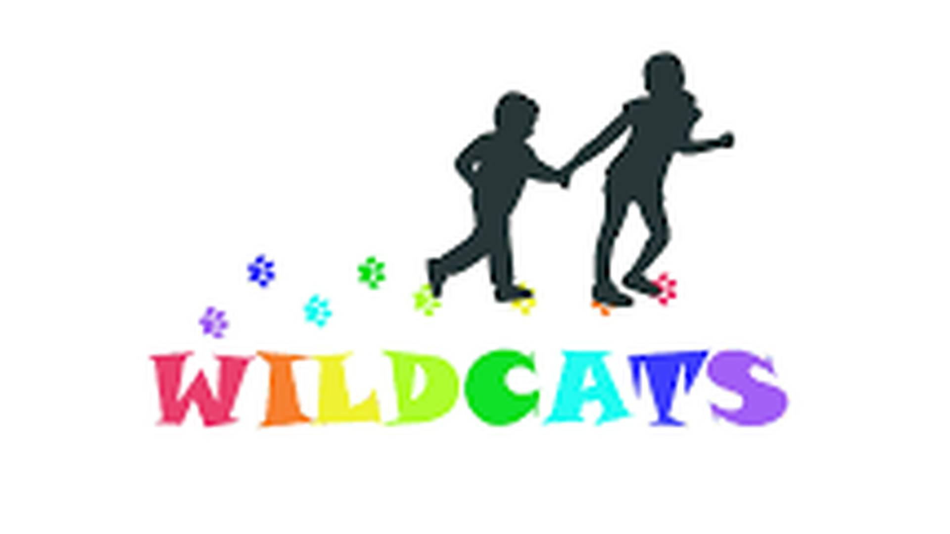 Nature Crafts with the Wildcats photo