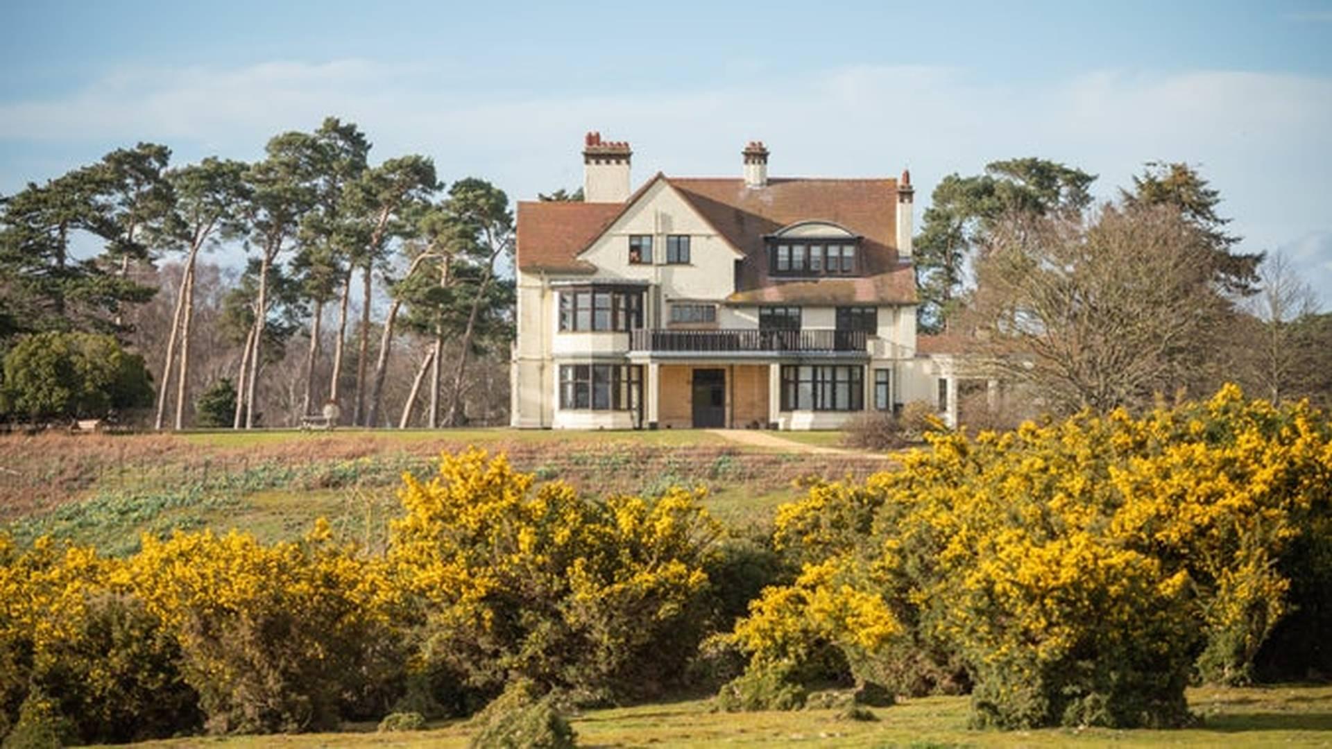 Summer Of Play At Sutton Hoo photo