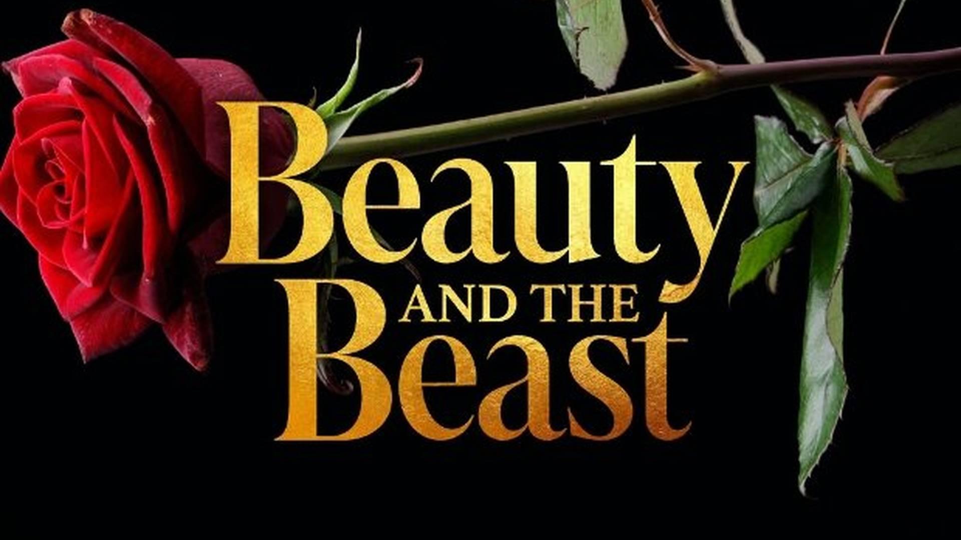 Beauty and the Beast photo