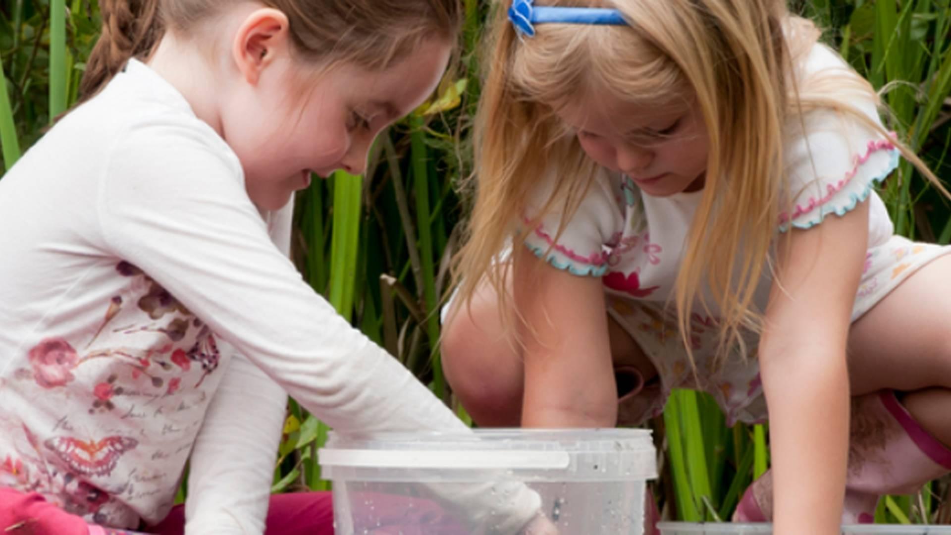 Family Pond Dipping at Tyland Barn photo