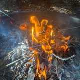 Activity image