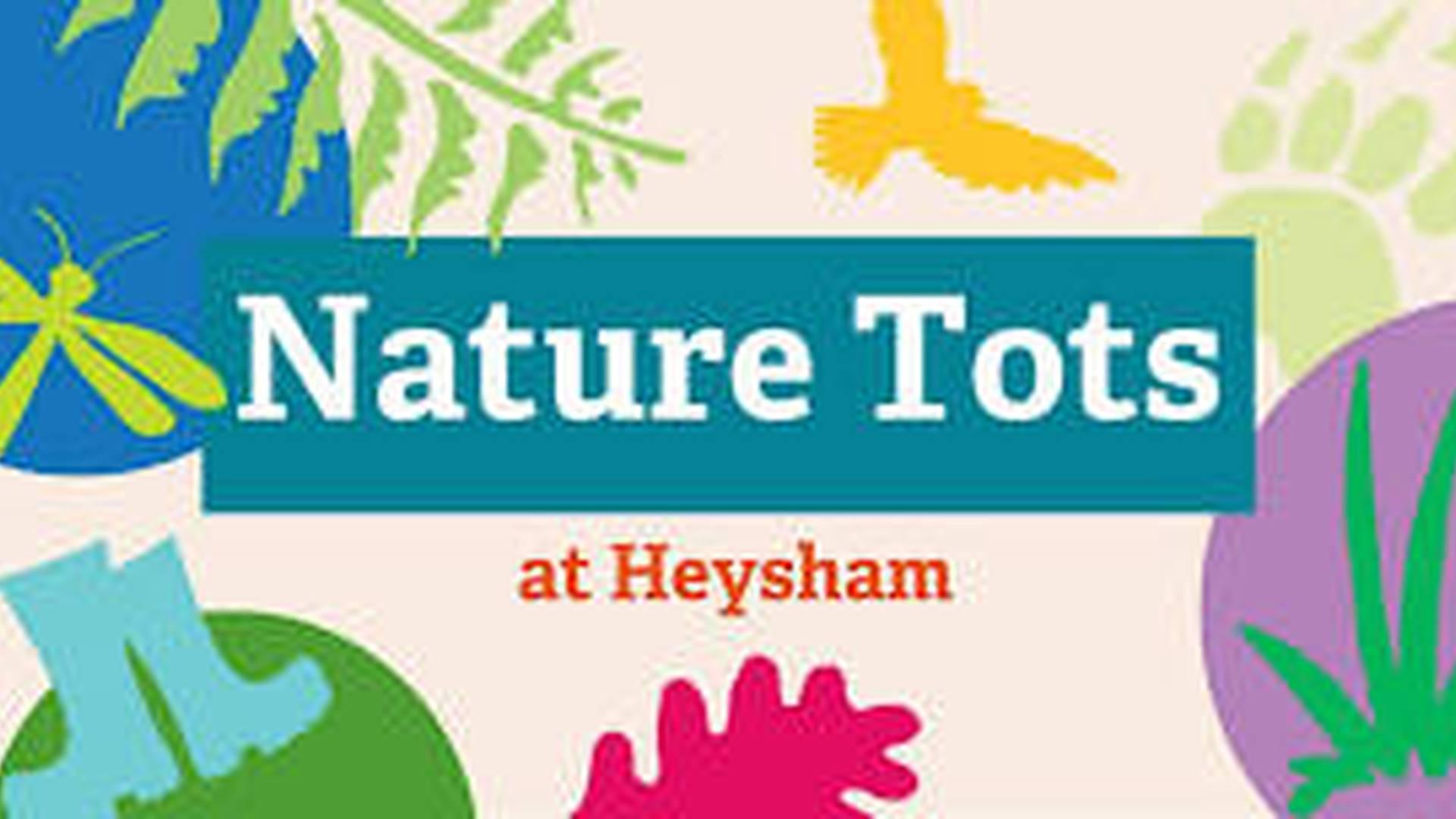 Nature Tots at Heysham Nature Reserve - 26th February 2025 photo
