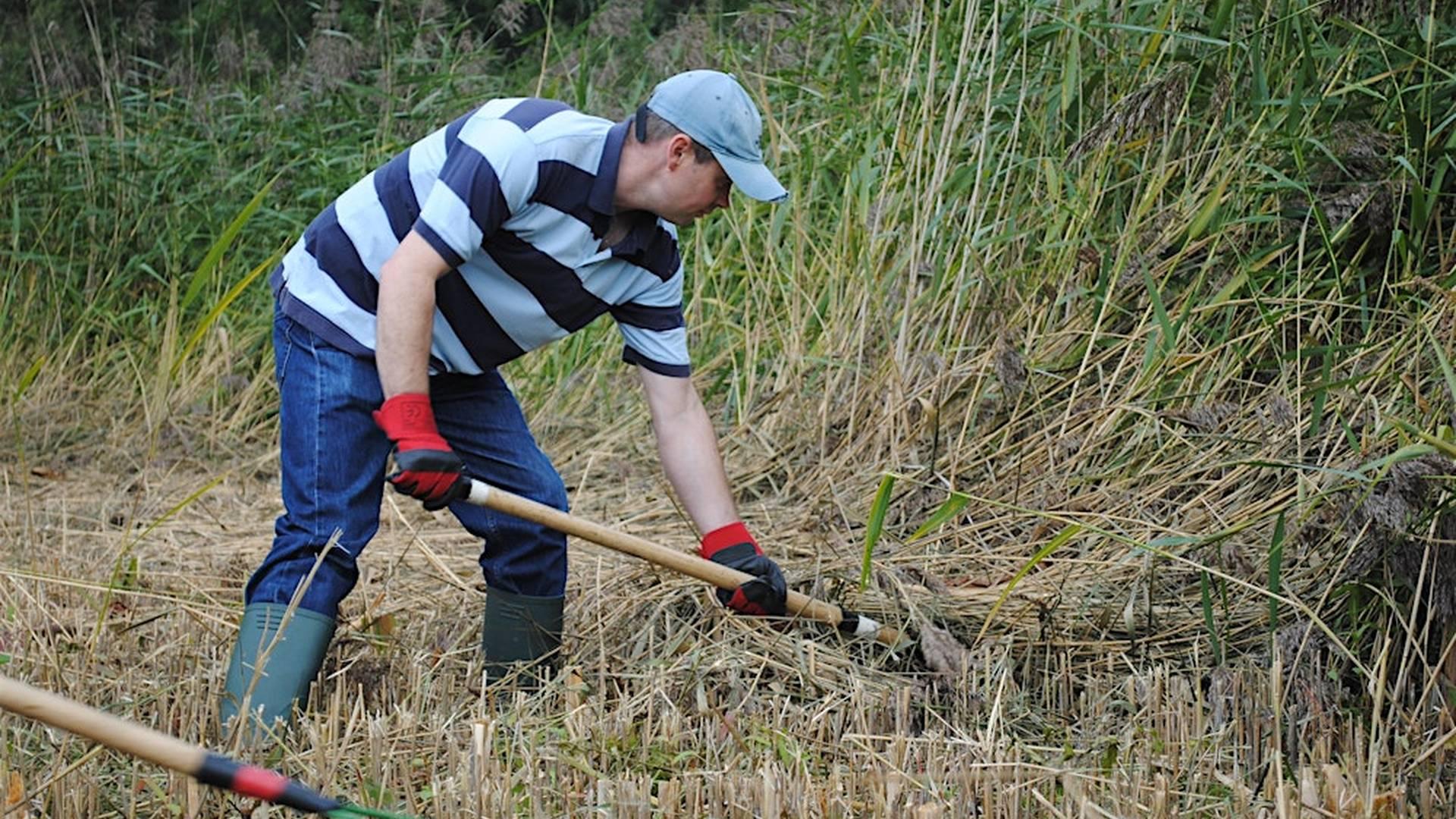 NWT Sweet Briar Marshes: Practical conservation task (20 March) photo