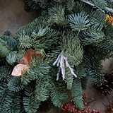 Activity image