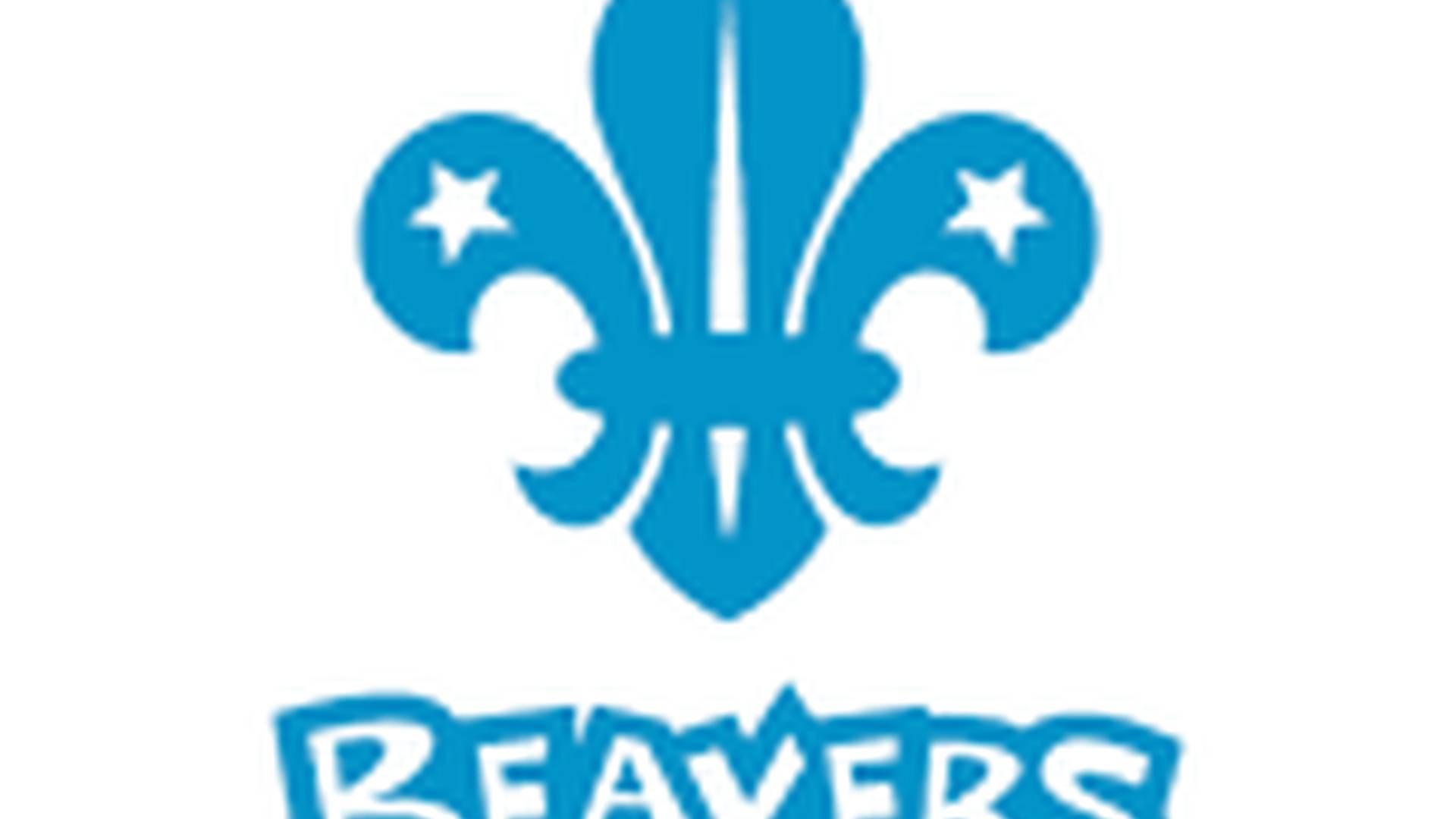 Beavers photo