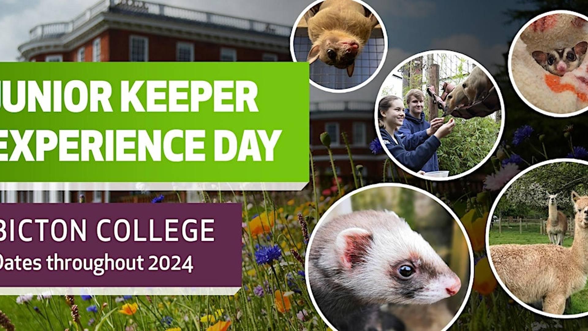 Junior Keeper Experience Day photo