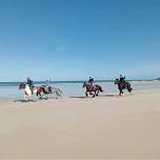 Activity image
