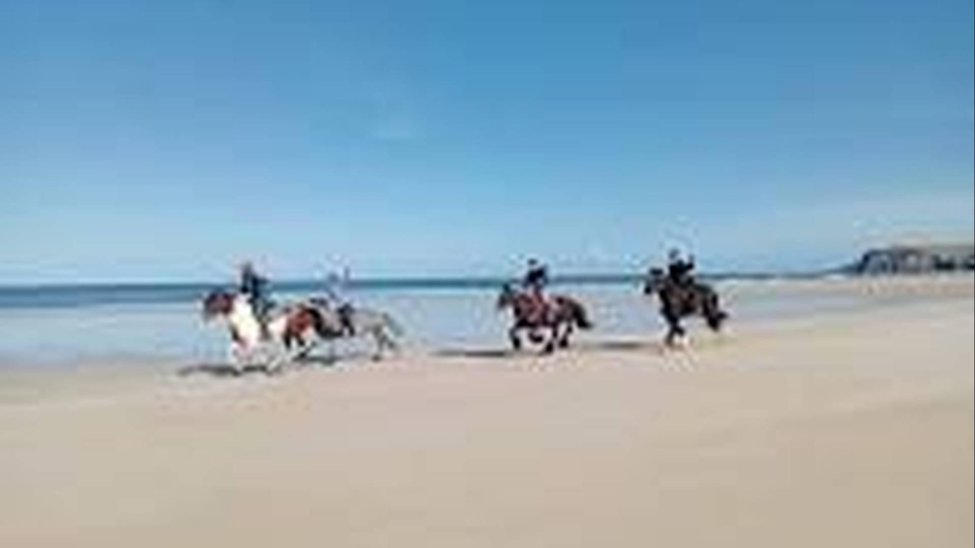 Saddle Club sponsored Walk in aid of Action for Children photo