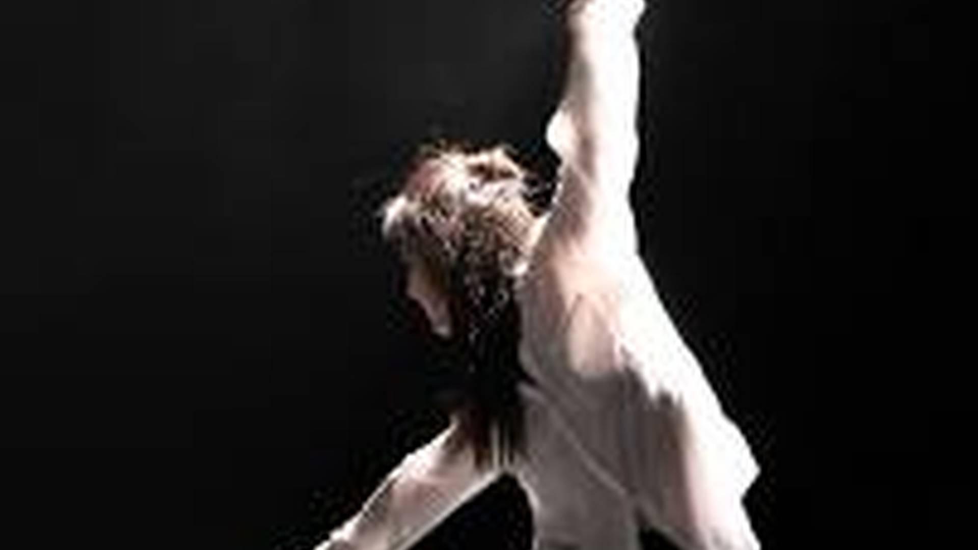Swan Lake photo