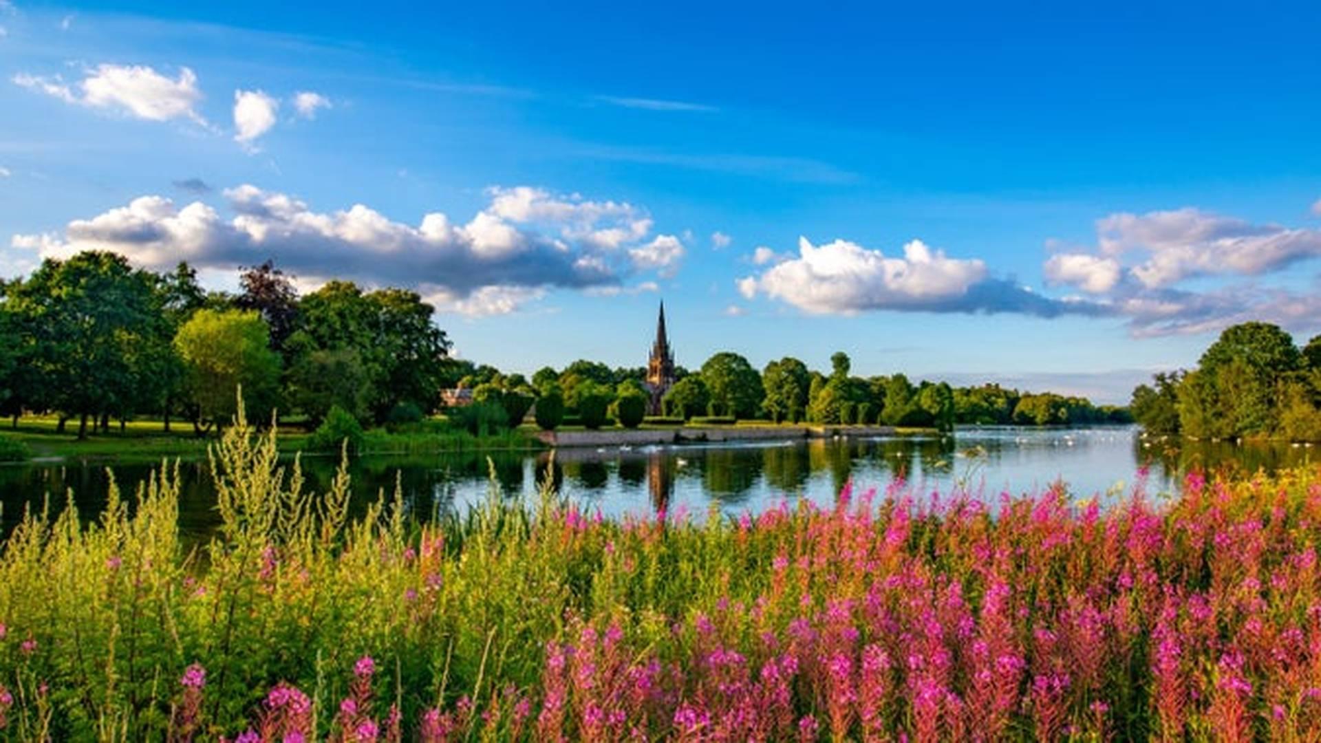 Summer Of Play At Clumber Park photo