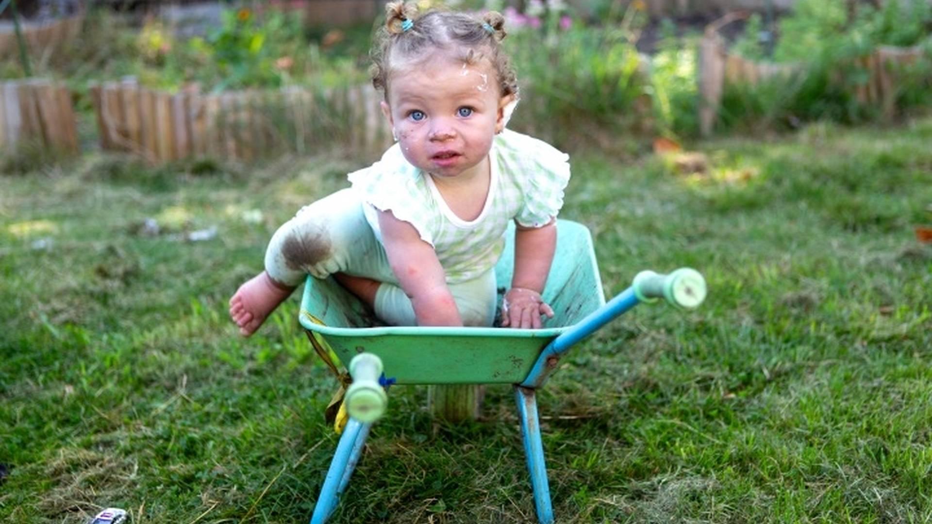 Make-Do Play - Tollyrise Garden photo