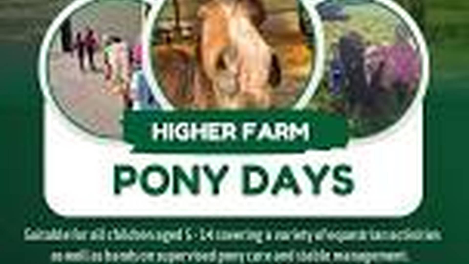 Pony Day photo