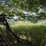 Activity image