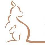The Baby Sling Boutique logo