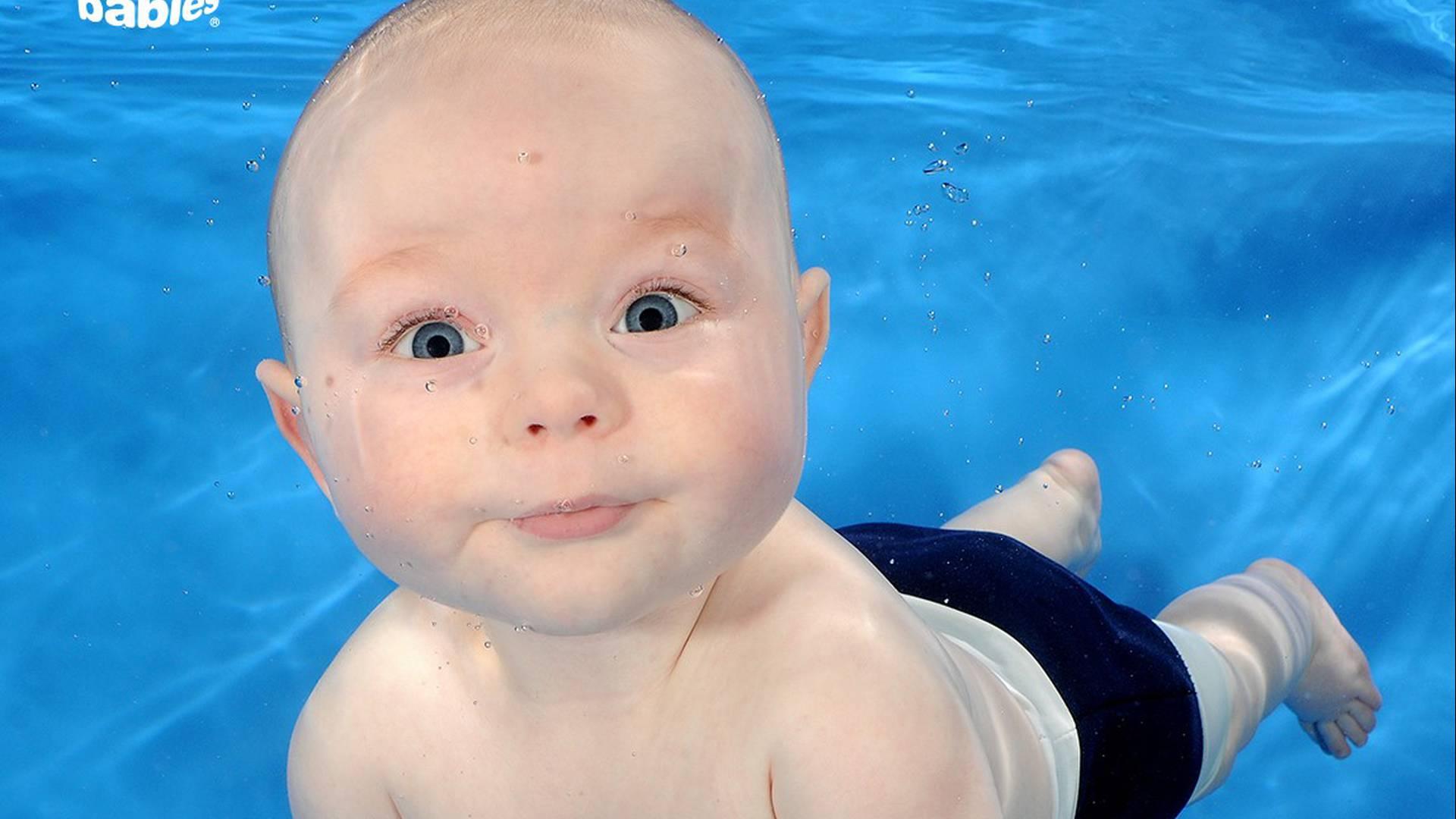 Water Babies photo